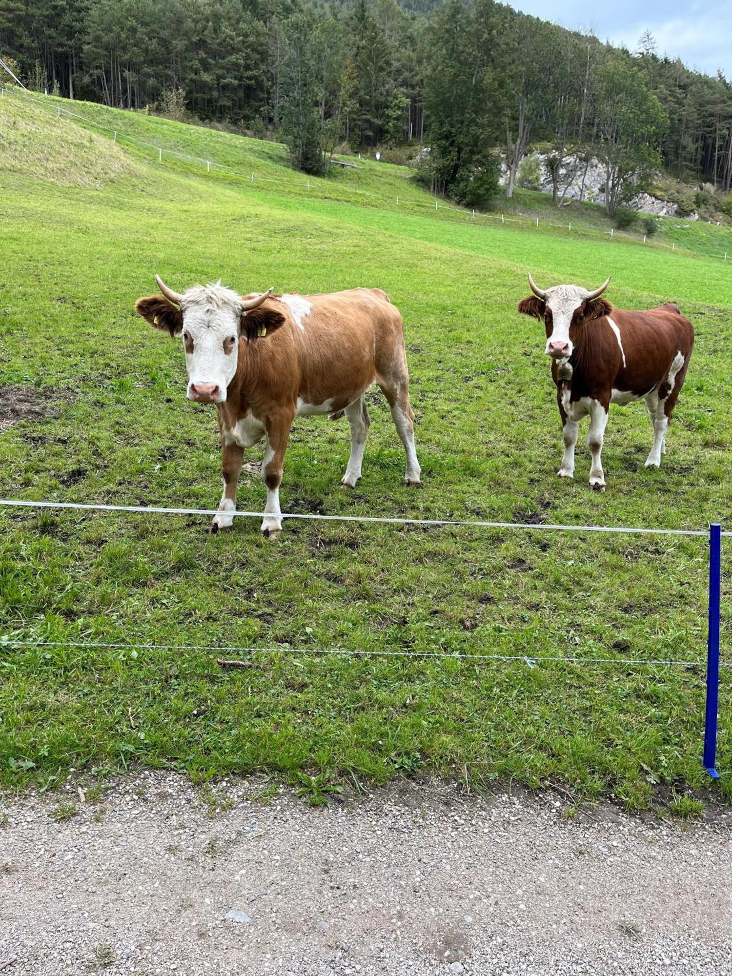 Meilerhof Reith bei Seefeld Exteriér fotografie